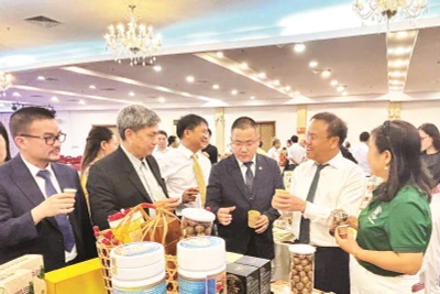 Lãnh đạo tỉnh Quảng Trị giới thiệu các sản phẩm OCOP với các doanh nghiệp quốc tế.