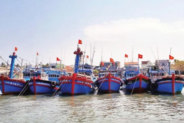Các tỉnh, thành phố có biển tăng cường kiểm tra, kiểm soát các tàu cá ra vào cảng để chống đánh bắt IUU.