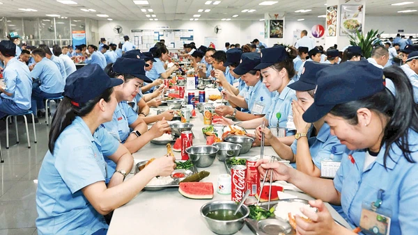 Bữa cơm ấm lòng, Tết trọn niềm tin