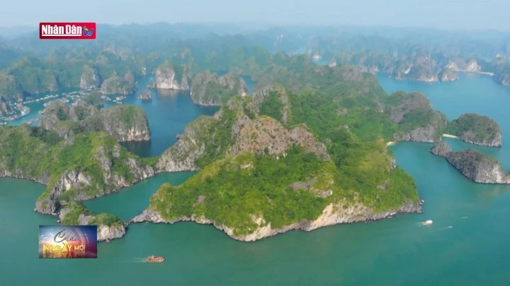 Hành trình khám phá của 14 nhà sáng tạo nội dung châu Á