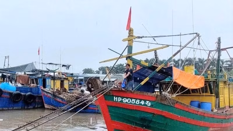 Thành phố Hải Phòng yêu cầu bảo đảm 100% tàu cá đã đăng ký phải viết biển số, đánh dấu tàu cá theo quy định.