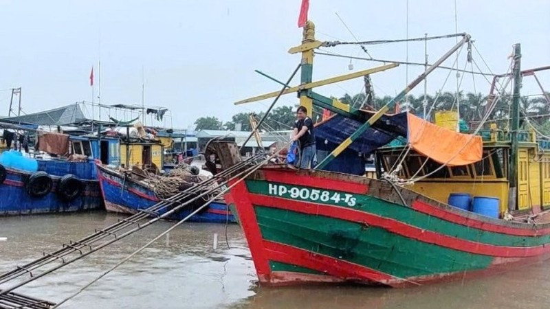Ngư dân Hải Phòng neo đậu tàu thuyền, chủ động phòng tránh bão số 11.
