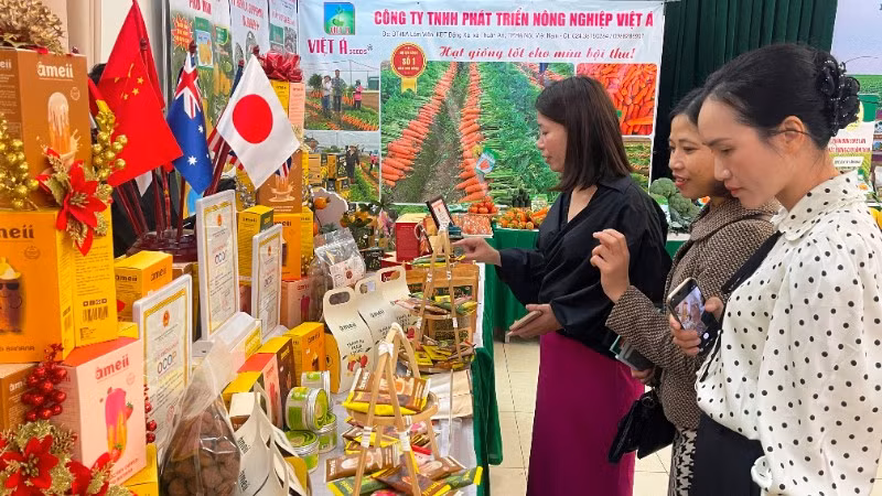 Thành phố Hải Phòng quan tâm hỗ trợ phụ nữ khởi nghiệp, góp phần phát triển kinh tế-xã hội thành phố trong kỷ nguyên mới. (Ảnh minh họa)