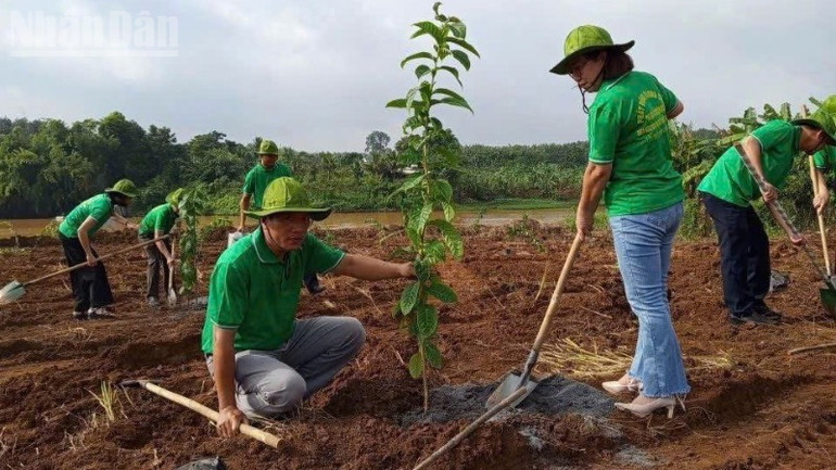 Dong Nai promotes tree planting. ndo_tl_z7038141335338-c95efa7c53f12583ae698bed0aef7800.jpg