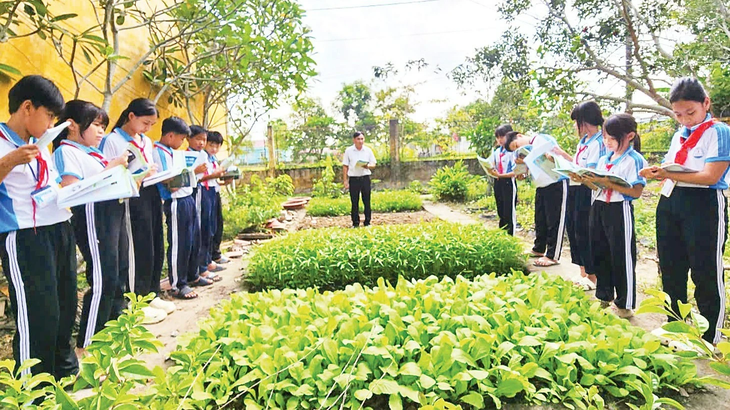 Văn Hóa Đọc Lan Tỏa Ở Nông Thôn Cần Thơ: Từ Trường Học Đến Cộng Đồng