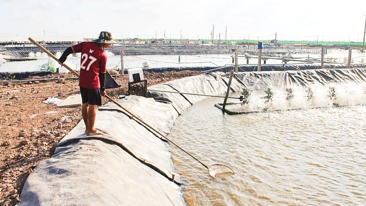 Mô Hình Kinh Tế Hợp Tác Giúp Đồng Bào Khmer Thoát Nghèo Bền Vững