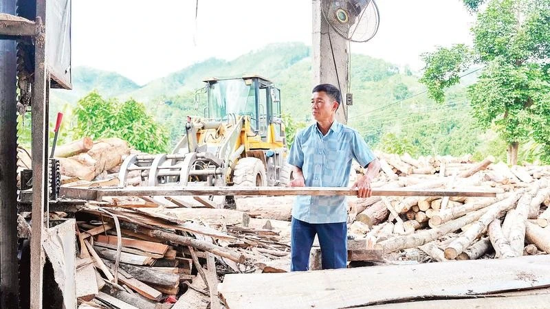 Người nông dân xuất sắc với mô hình kinh tế rừng bền vững tại Lào Cai