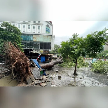 Bản tin Thời sự sáng 23/7: Không chủ quan khi bão số 3 hạ cấp, vẫn có mưa to gây lũ quét, sạt lở