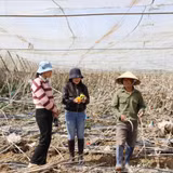 Nhà báo Nguyễn Thị Lương (đứng giữa) tác nghiệp ở xã Ka Đô sau cơn bão số 13, tháng 11/2025.