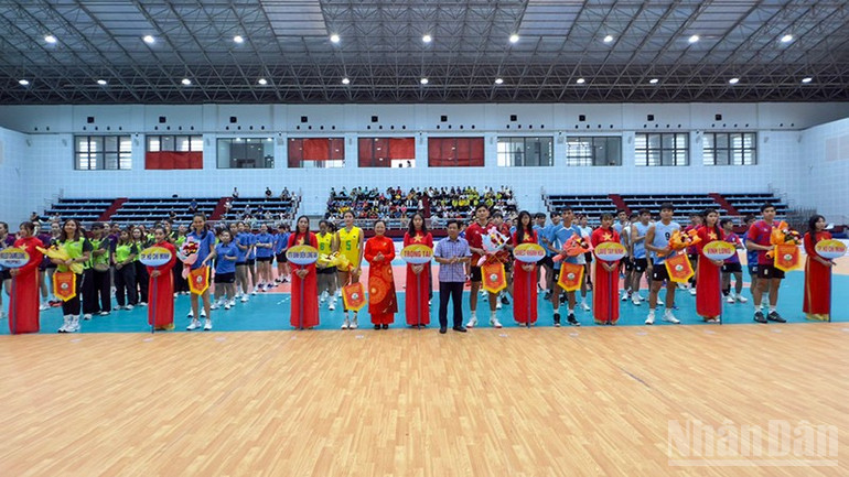 ndo_br_anh-2-pct-tinh-trao-hoa-va-co.jpg