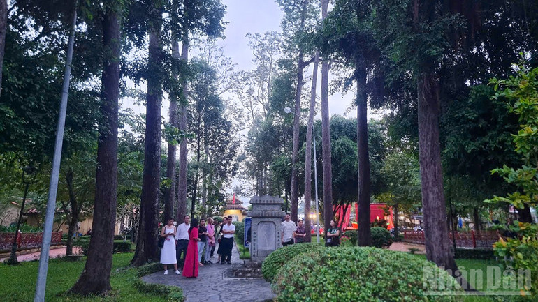 Hàng cây sao cổ thụ trong Văn Thánh miếu Vĩnh Long. ndo_br_anh-3-hang-cay-sao-co-thu-trong-van-thanh-mieu.jpg