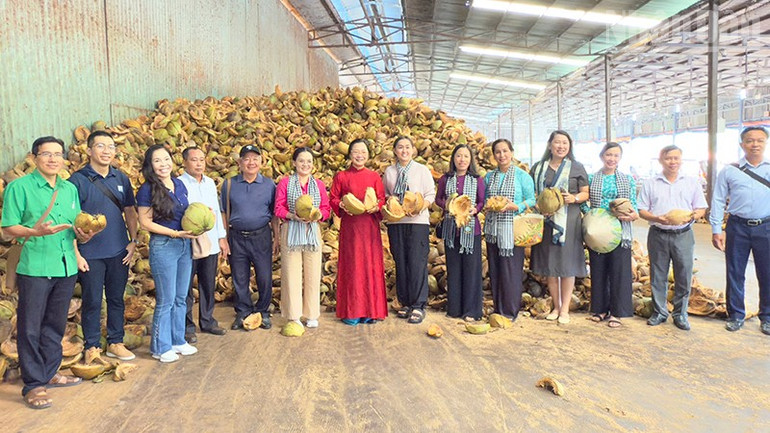 Туристи відвідують підприємство з виробництва кокосового волокна. ndo_tr_anh-4-dai-bieu-tham-quan-co-so-san-xuat-chi-xo-dua-tren-song-thom.jpg