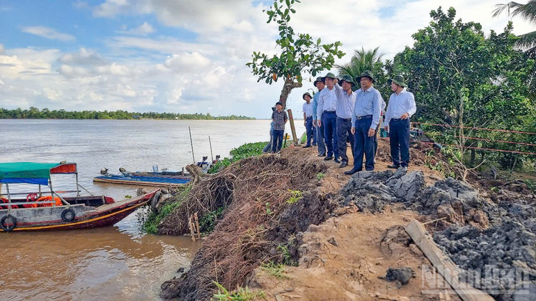Bí thư Tỉnh ủy Vĩnh Long cùng đoàn công tác khảo sát sạt lở đê bao. ndo_br_anh-3-bi-thu-tinh-uy-cung-doan-cong-tac-khao-sat-sat-lo-se-bao.jpg