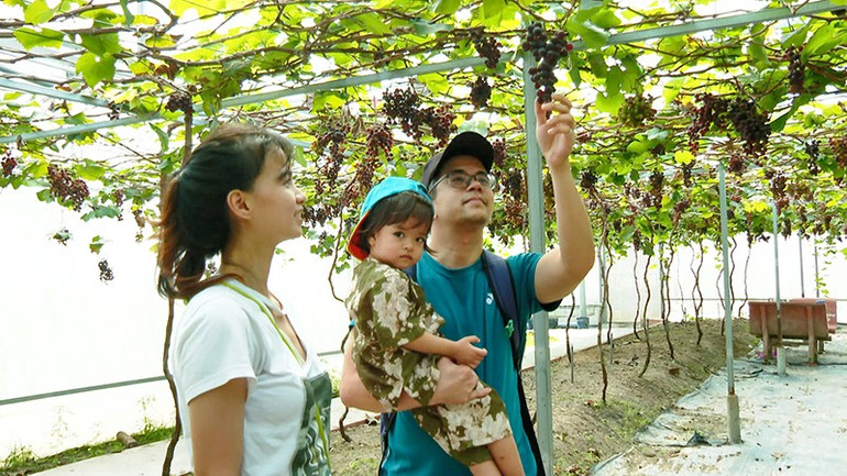 anh-3-du-khach-thich-thu-trai-nghiem-vuon-nho.jpg