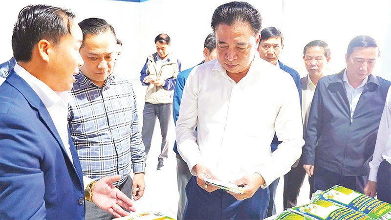 Thành phố Huế đã ban hành nhiều chính sách hỗ trợ nhằm thu hút doanh nghiệp đầu tư vào lĩnh vực phát triển kinh tế xanh, kinh tế tuần hoàn.