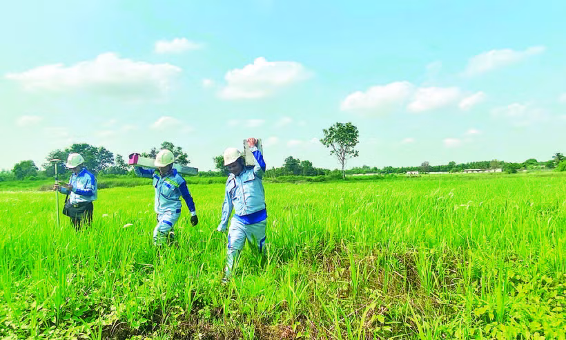 Chủ đầu tư tổ chức cắm cọc mốc, giao ranh chuẩn bị khởi công dự án tuyến cao tốc Thành phố Hồ Chí Minh-Mộc Bài.