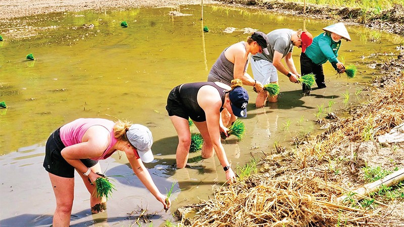 Ninh Bình thu hút du khách quốc tế với các hoạt động trải nghiệm văn hóa hấp dẫn.