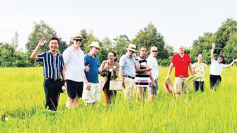 Chuyên gia nước ngoài tham quan dự án Cộng đồng nông nghiệp thuận thiên.