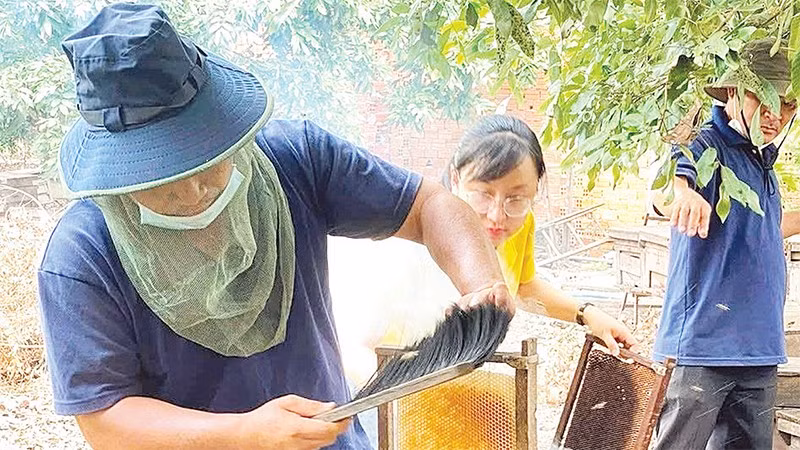 Sản phẩm mật ong của Công ty TNHH Một thành viên Ong mật Bảo An Tây Ninh được công nhận đạt chuẩn OCOP 4 sao. (Ảnh CTV)