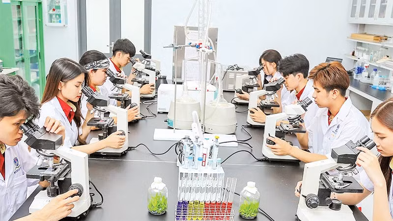 Hoạt động nghiên cứu trong phòng thí nghiệm tại Trường đại học Nguyễn Tất Thành. (Ảnh CTV)