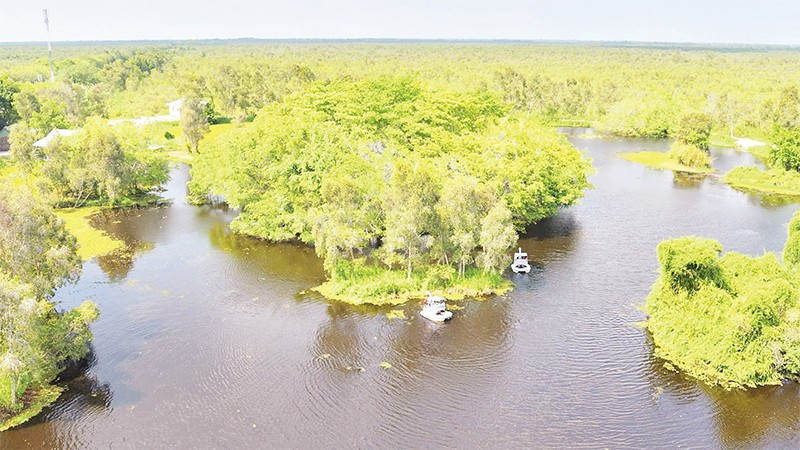 Vườn quốc gia U Minh Thượng nhìn từ trên cao.