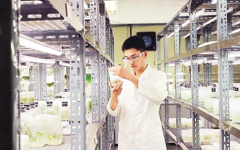 Đại học Duy Tân đẩy mạnh hoạt động nghiên cứu khoa học. (Ảnh MINH CHUNG)