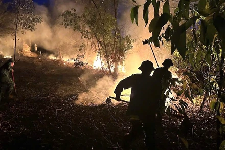 Các cơ quan chức năng cùng người dân tổ chức chữa cháy.