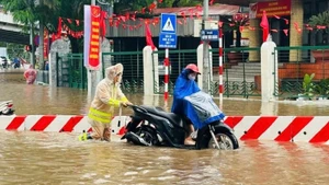 Hình ảnh đẹp trong mưa bão.