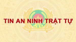 Ảnh minh họa.