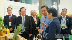 Các đại biểu tham dự Diễn đàn.