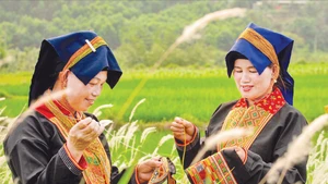 Hoa văn trên trang phục được phụ nữ Dao Thanh Phán thêu tay cầu kỳ và tinh tế.