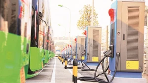 Một khu trạm sạc cho xe buýt điện của Tổng công ty Vận tải Hà Nội. (Ảnh TUẤN LƯƠNG)