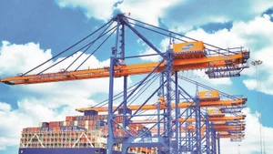 Bốc dỡ hàng hóa tại cảng Cái Mép-Thị Vải, phường Tân Thành, Thành phố Hồ Chí Minh. (Ảnh THẾ ANH)