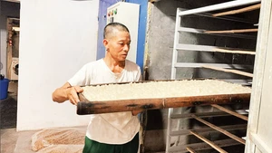 Đưa nhãn đã xoáy bỏ hạt vào lò để sấy thành long nhãn.