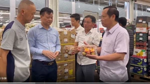 Kiểm tra chất lượng vải thiều sau khi đến nước Pháp.