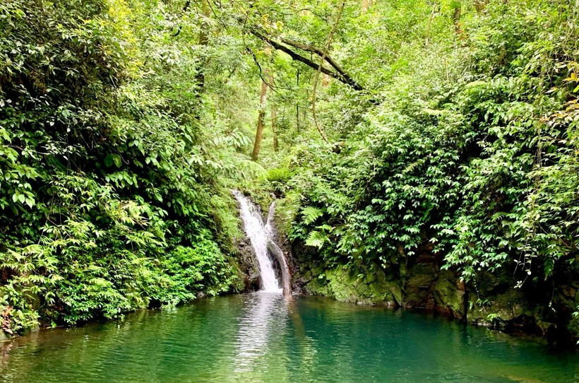 Vườn Quốc gia Vũ Quang có hệ sinh thái đa dạng