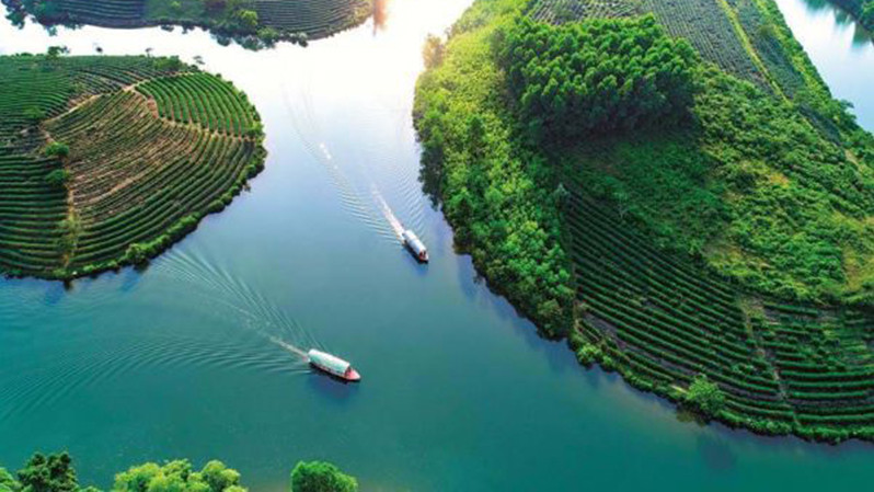 Đồi chè Thanh Chương, điểm du lịch thu hút khách.