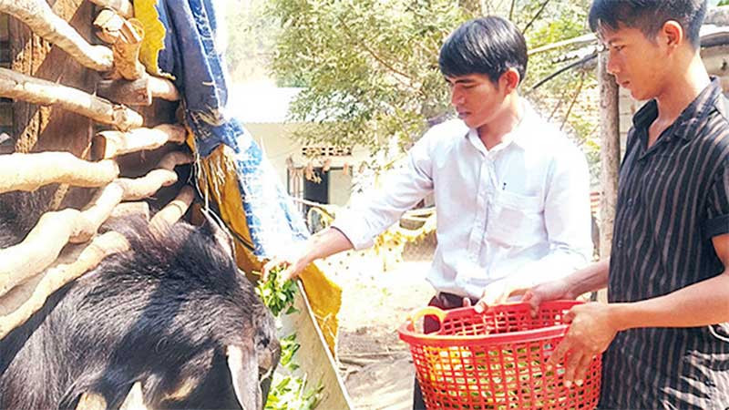 Đại diện Hội Nông dân xã Đăk Pxi hướng dẫn người dân thôn Krông Đuân chăn nuôi dê nhốt chuồng.