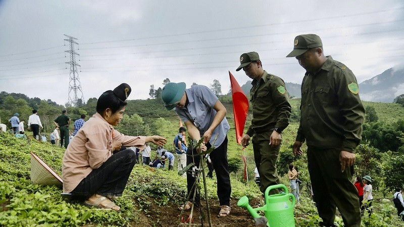 Cán bộ, nhân dân huyện Tuần Giáo trồng cây mắc-ca hưởng ứng lễ ra quân trồng, chăm sóc mắc-ca do Ủy ban nhân dân huyện Tuần Giáo phát động.