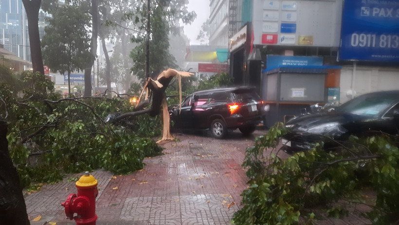 Mưa lớn kèm giông, làm cây xanh ngã đổ, hư hỏng ô-tô trên tuyến đường Phạm Ngọc Thạch, quận 3.