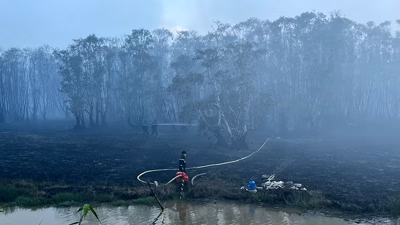 Cháy rừng tại Khu A1 Vườn quốc gia Tràm Chim, ngày 11/6/2024. (Ảnh: HỮU NGHĨA)