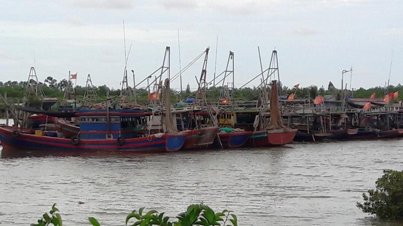 Thanh Hóa chủ động ứng phó cơn bão số 4