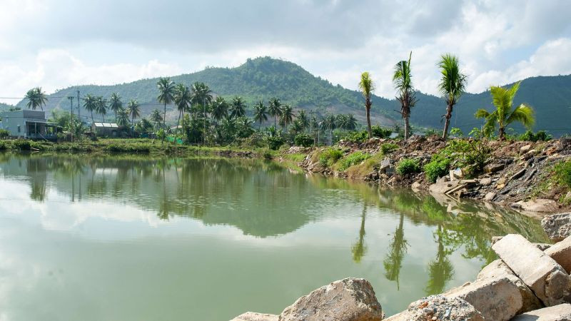 Một số ao, đìa bị bỏ hoang dù đang bước vào vụ mới.