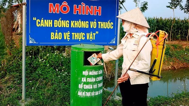Mô hình Cánh đồng không vỏ thuốc bảo vệ thực vật ở xã Tuân Chính, huyện Vĩnh Tường (Vĩnh Phúc). (Ảnh CỤC BẢO VỆ THỰC VẬT)