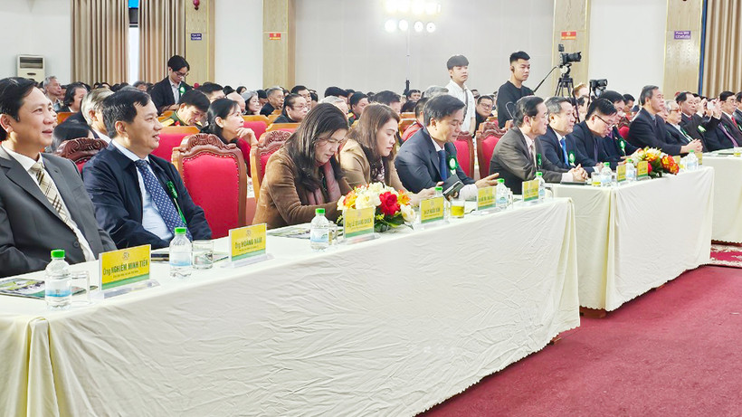 Các đại biểu dự lễ.