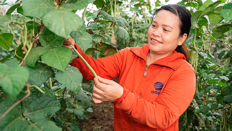 Phụ nữ tham gia chương trình “She Feeds the World”. (Ảnh: CARE)