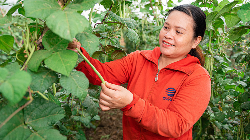 Phụ nữ tham gia chương trình “She Feeds the World”. (Ảnh: CARE)