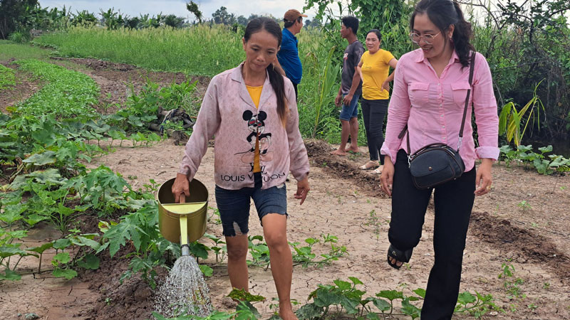 Mô hình trồng rau màu của gia đình chị Thị Trúc Linh (bên trái).