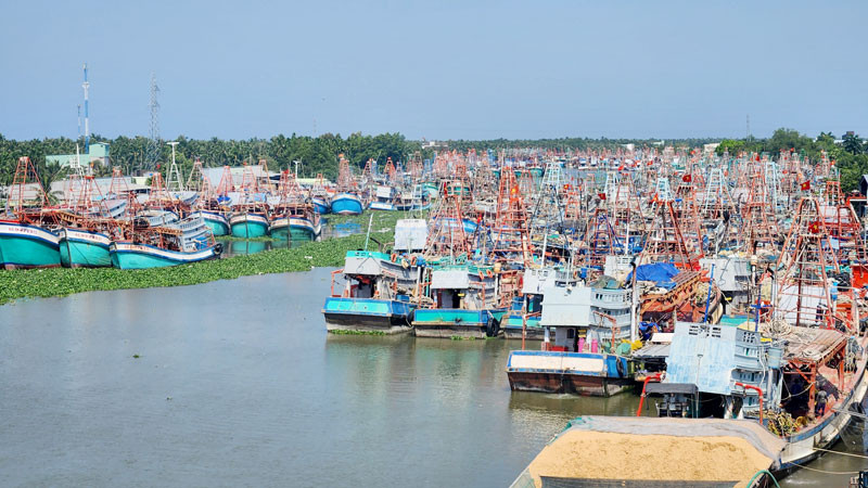 Tàu cá neo đậu tại huyện Châu Thành, tỉnh Kiên Giang.