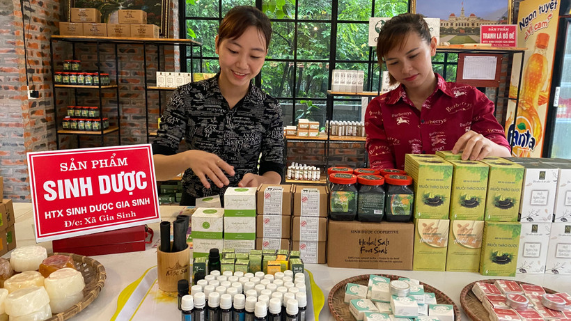 Sản phẩm OCOP của Hợp tác xã Sinh Dược ở Ninh Bình được nhiều người tiêu dùng trong nước ưa chuộng. (Ảnh: Lê Hồng)